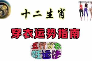 五行水2025年05月27日感情运势拆解
