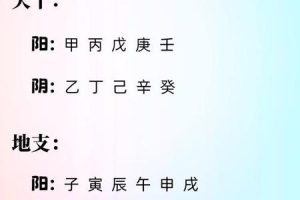 五行木2025年05月28日八字新宿算命