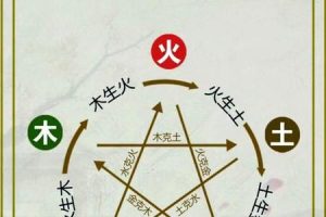 五行木2025年05月23日哪个五行相克