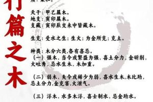 五行木2025年05月27日偏财运怎么样