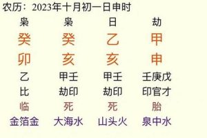五行土2025年06月10日八字巳亥对冲怎么办