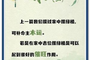五行木2025年06月10日如何布局家居提升桃花运